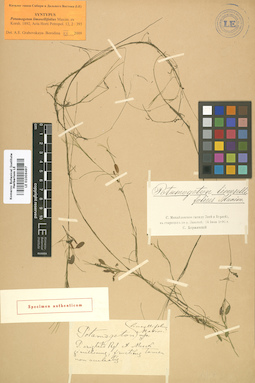 LE 01006497