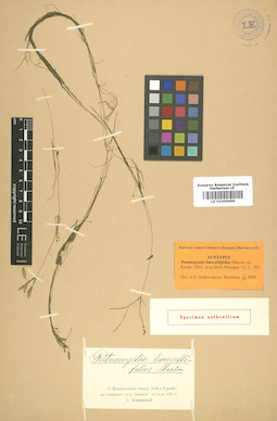 LE 01006499