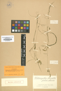 LE 01006500