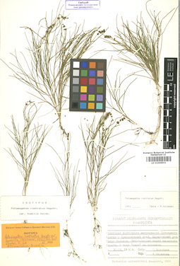 LE 01006501