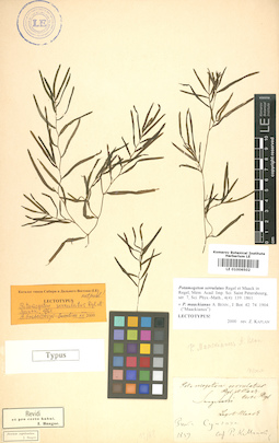 LE 01006502