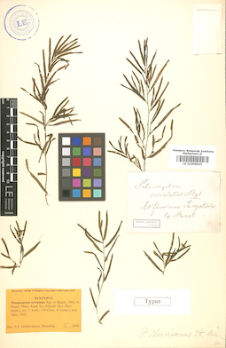LE 01006503