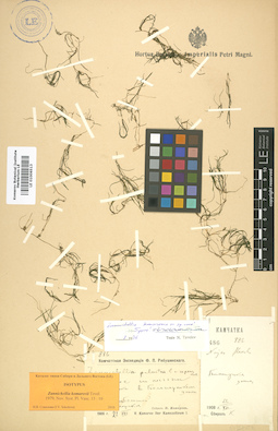 LE 01006513