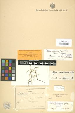 LE 01006514
