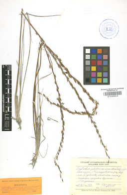 LE 01006516