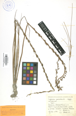 LE 01006517