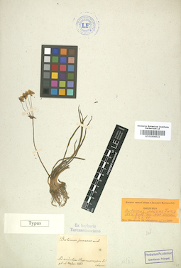 LE 01006522