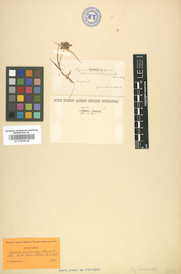 LE 01006529