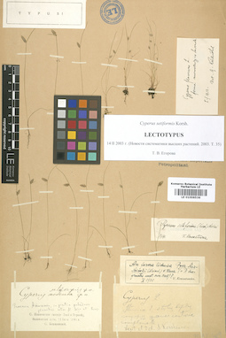 LE 01006536