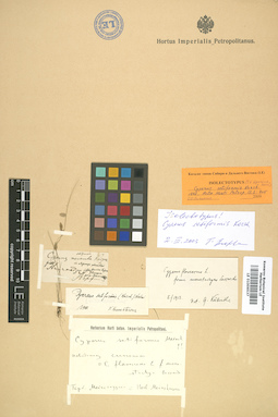 LE 01006537