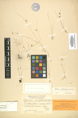 LE 01006538