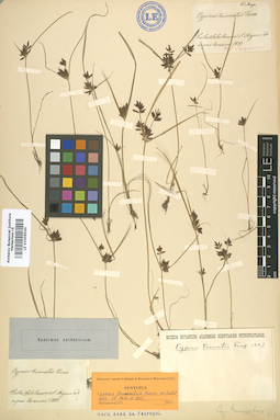 LE 01006540