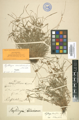 LE 01006544