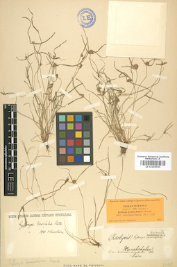 LE 01006545