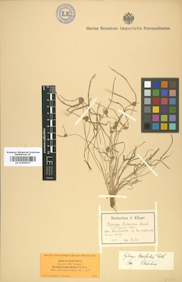LE 01006547