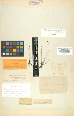 LE 01006604