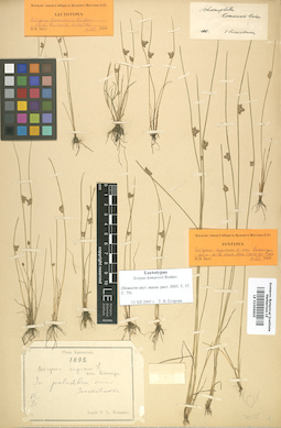 LE 01006605