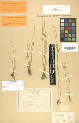 LE 01006606