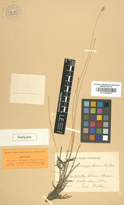 LE 01006607