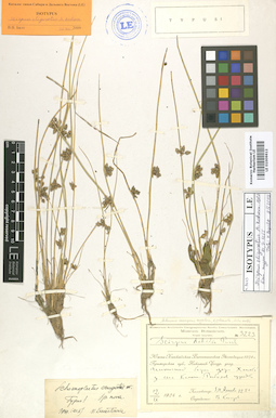 LE 01006612