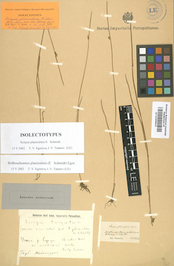 LE 01006615