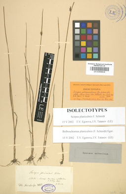 LE 01006616