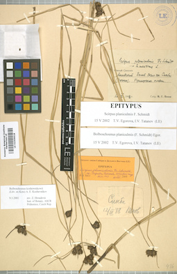 LE 01006618