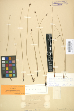 LE 01006623