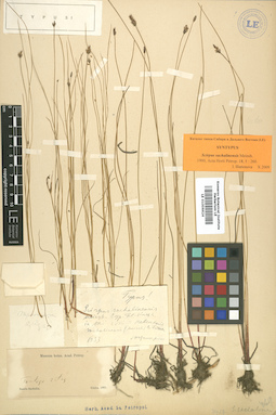 LE 01006624