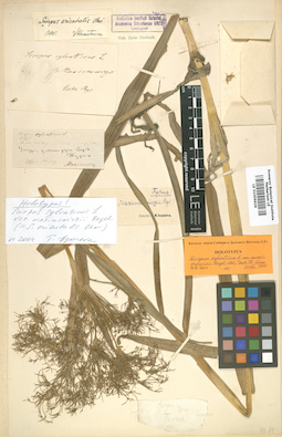 LE 01006626