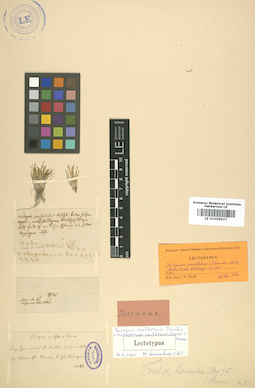 LE 01006627