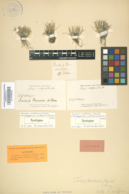 LE 01006628