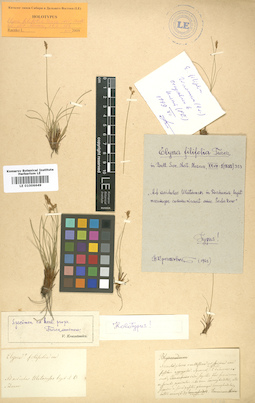 LE 01006649