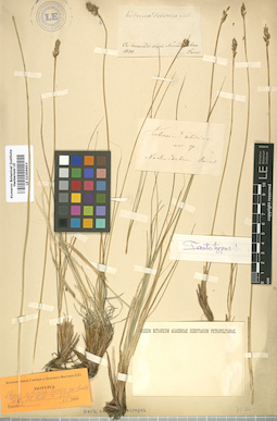 LE 01006653