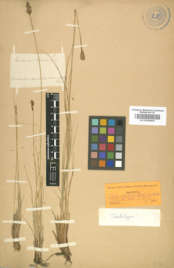LE 01006654