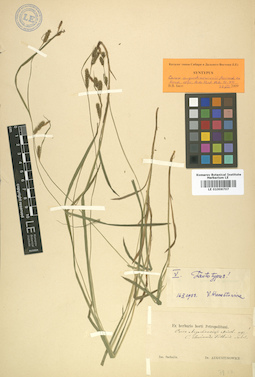 LE 01006707