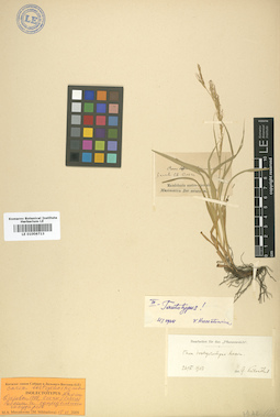 LE 01006713