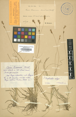 LE 01006714