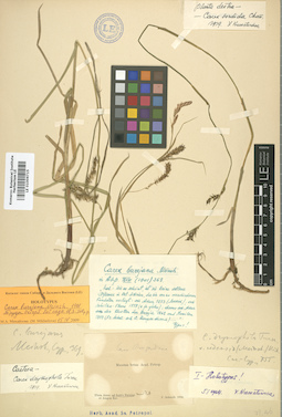 LE 01006715