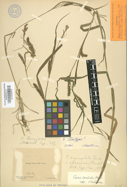LE 01006716