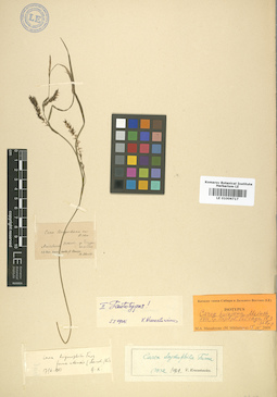 LE 01006717