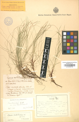 LE 01006718