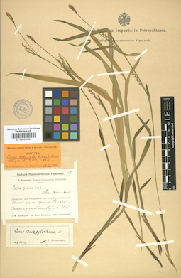 LE 01006720