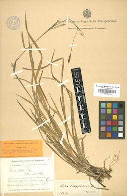 LE 01006721