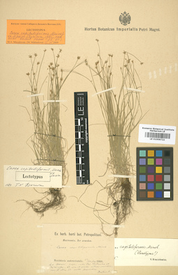 LE 01006722