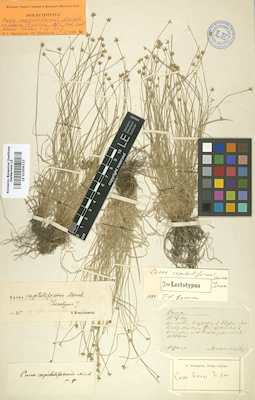 LE 01006723