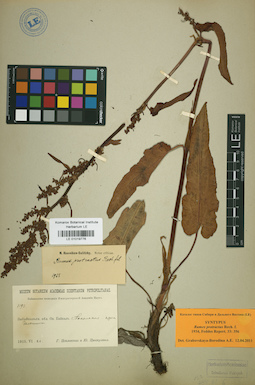 LE 01019776
