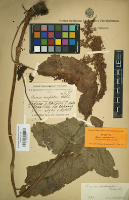 LE 01019777