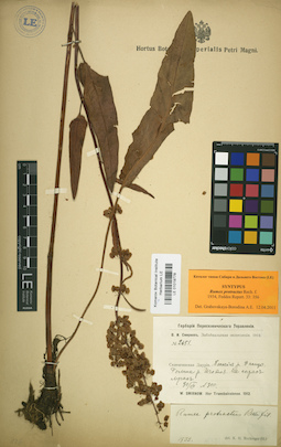 LE 01019778
