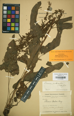 LE 01019782
